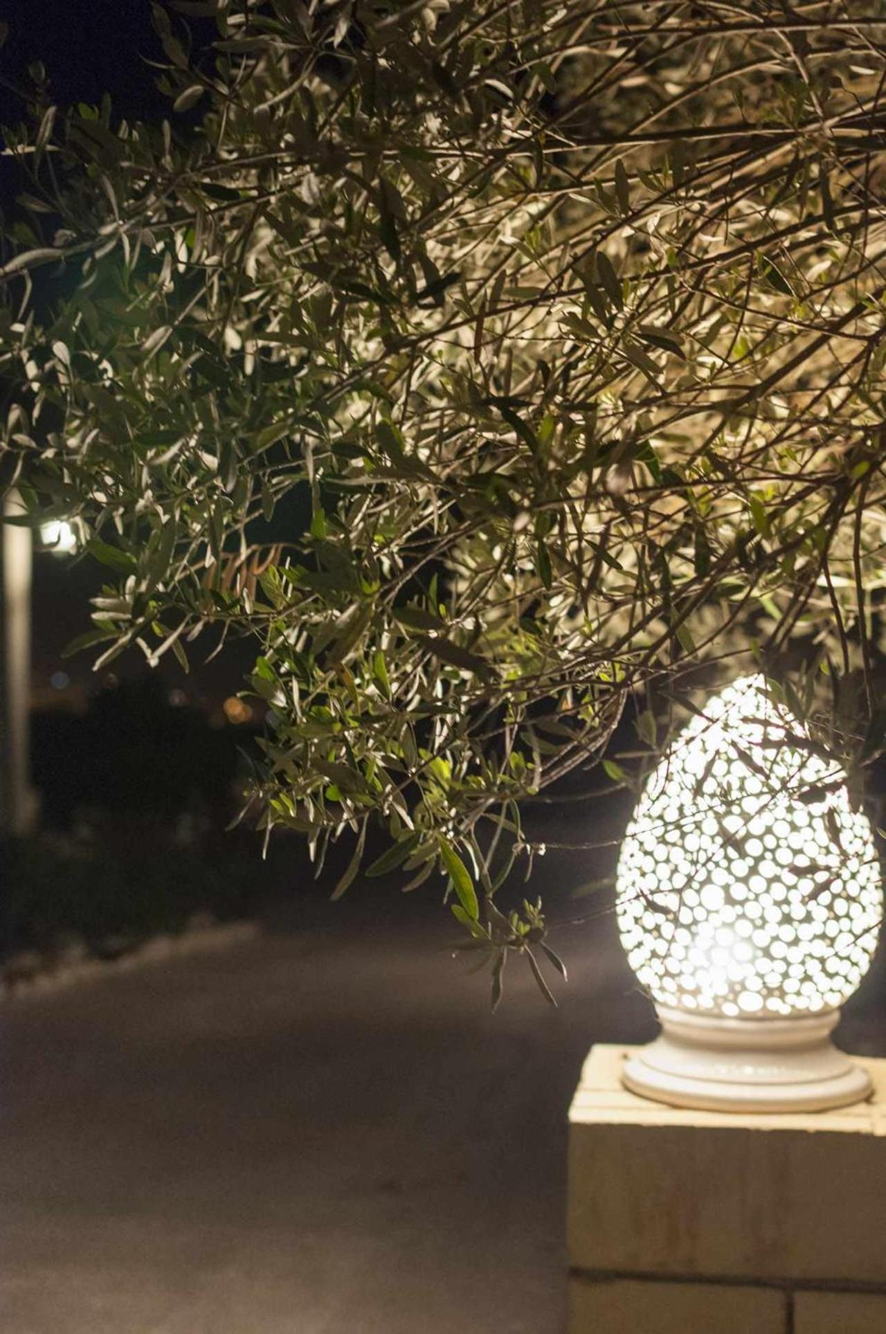 Tenuta Olive Alive Noto Eksteriør billede
