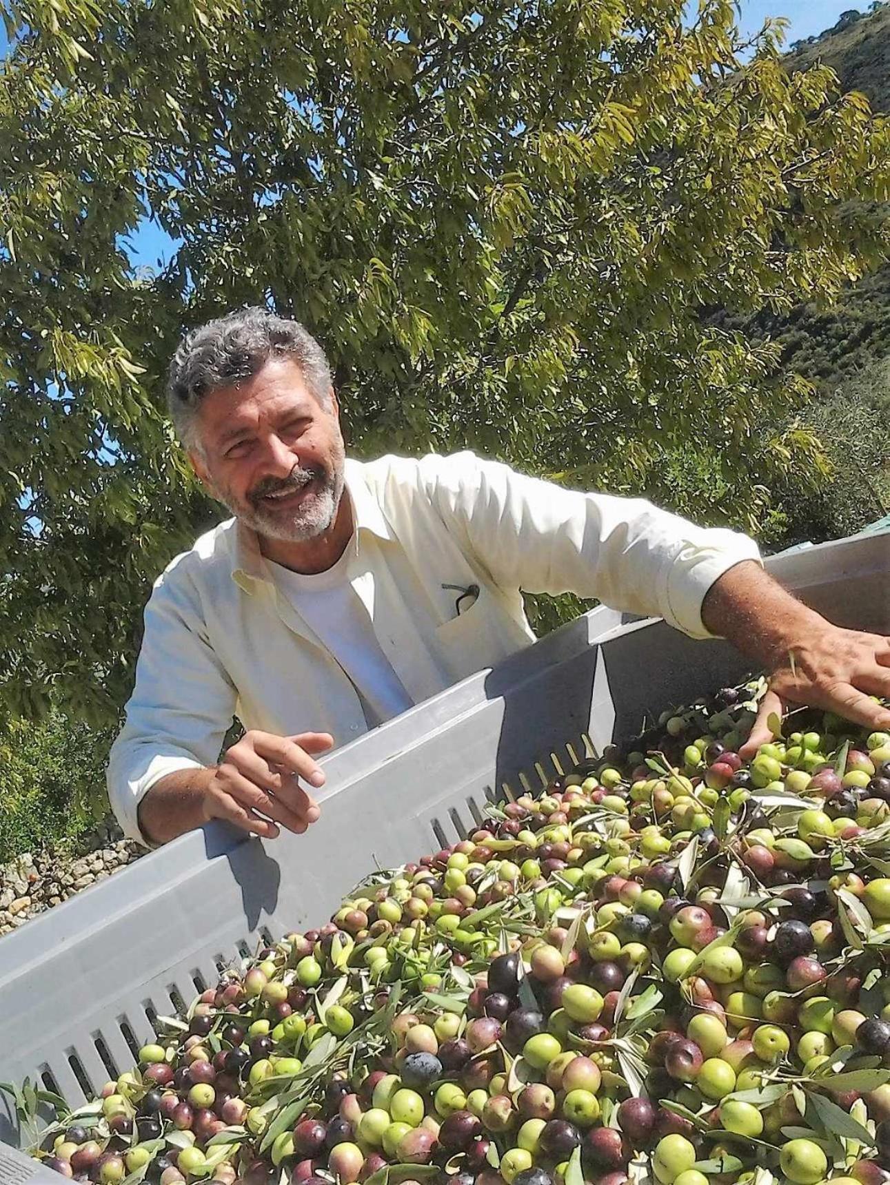 Tenuta Olive Alive Noto Eksteriør billede